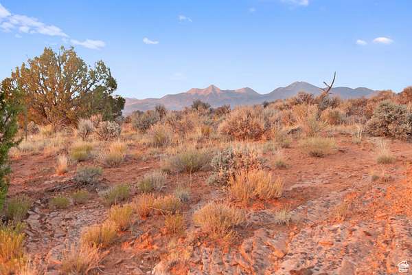 9.23 Acres of Residential Land for Sale in La Sal, Utah