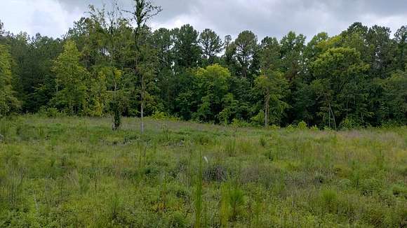 34.28 Acres of Land for Sale in Dalton, Georgia