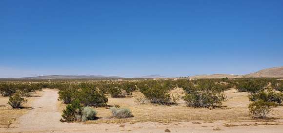 Residential Land for Sale in California City, California