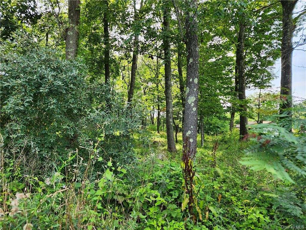 0.91 Acres of Land for Sale in Carmel, New York