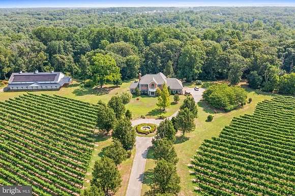 South Jersey Vineyards for Sale LandSearch