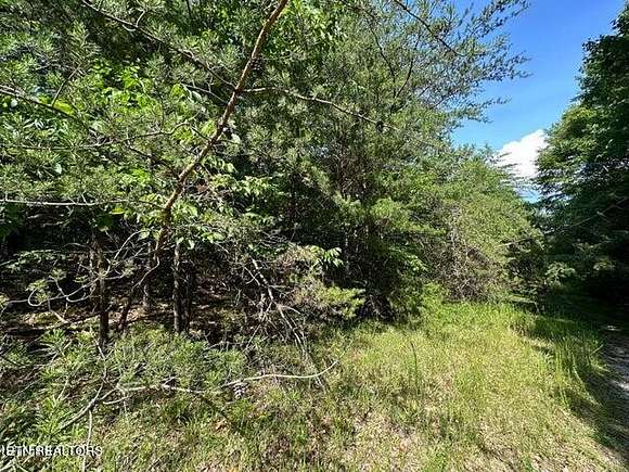 0.25 Acres of Residential Land for Sale in Crossville, Tennessee