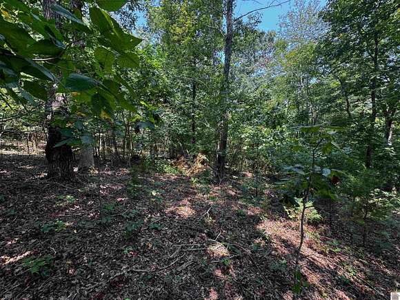 1 Acre of Residential Land for Sale in Murray, Kentucky