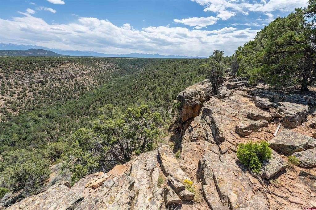 40 Acres of Recreational & Residential Land for Sale in Montrose, Colorado