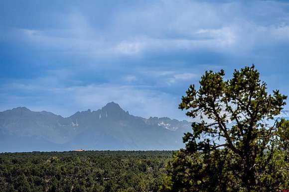 40 Acres of Recreational Land for Sale in Montrose, Colorado