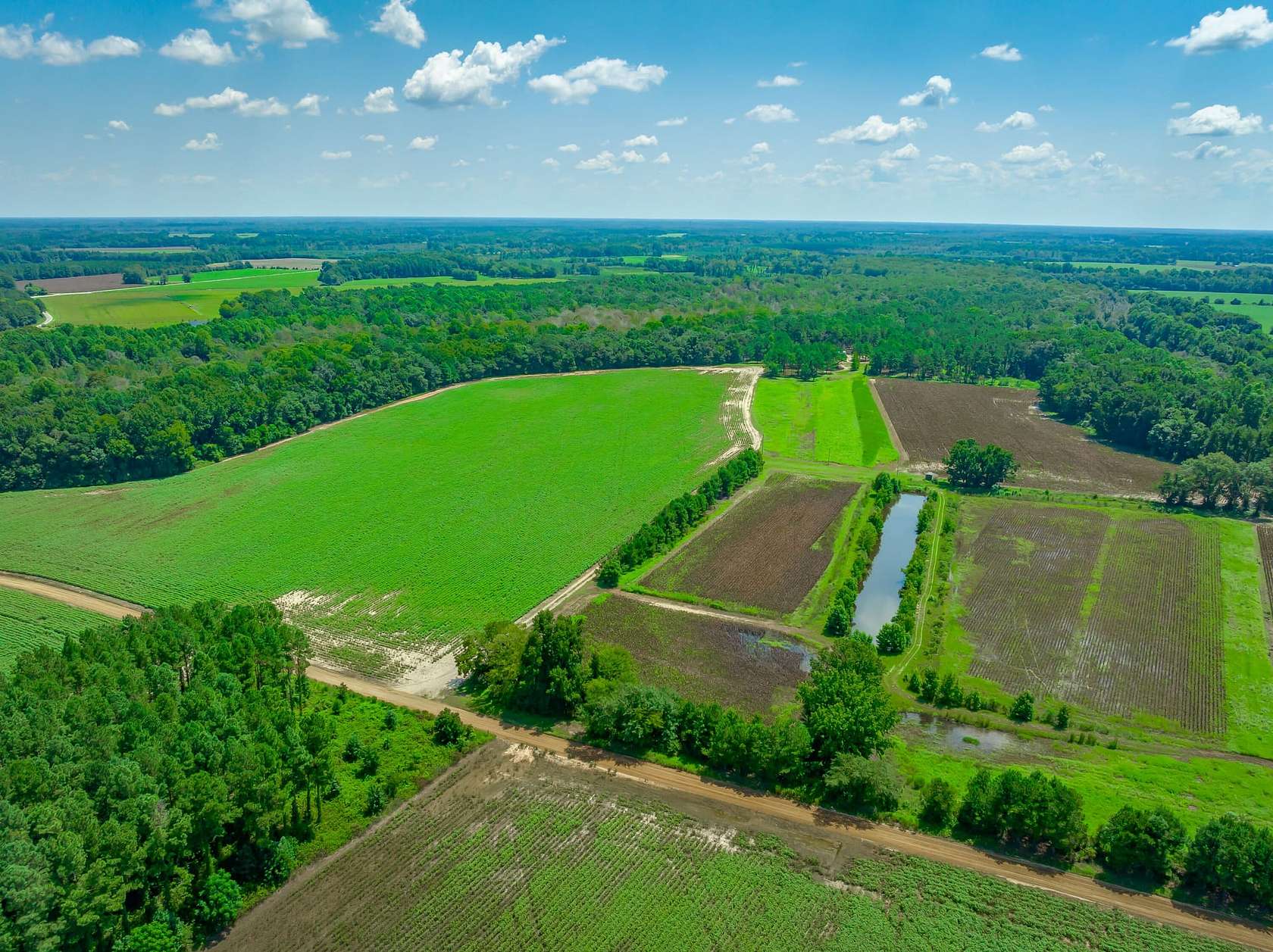 143.3 Acres of Land with Home for Sale in Little Rock, South Carolina