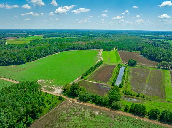 143.3 Acres of Land with Home for Sale in Little Rock, South Carolina