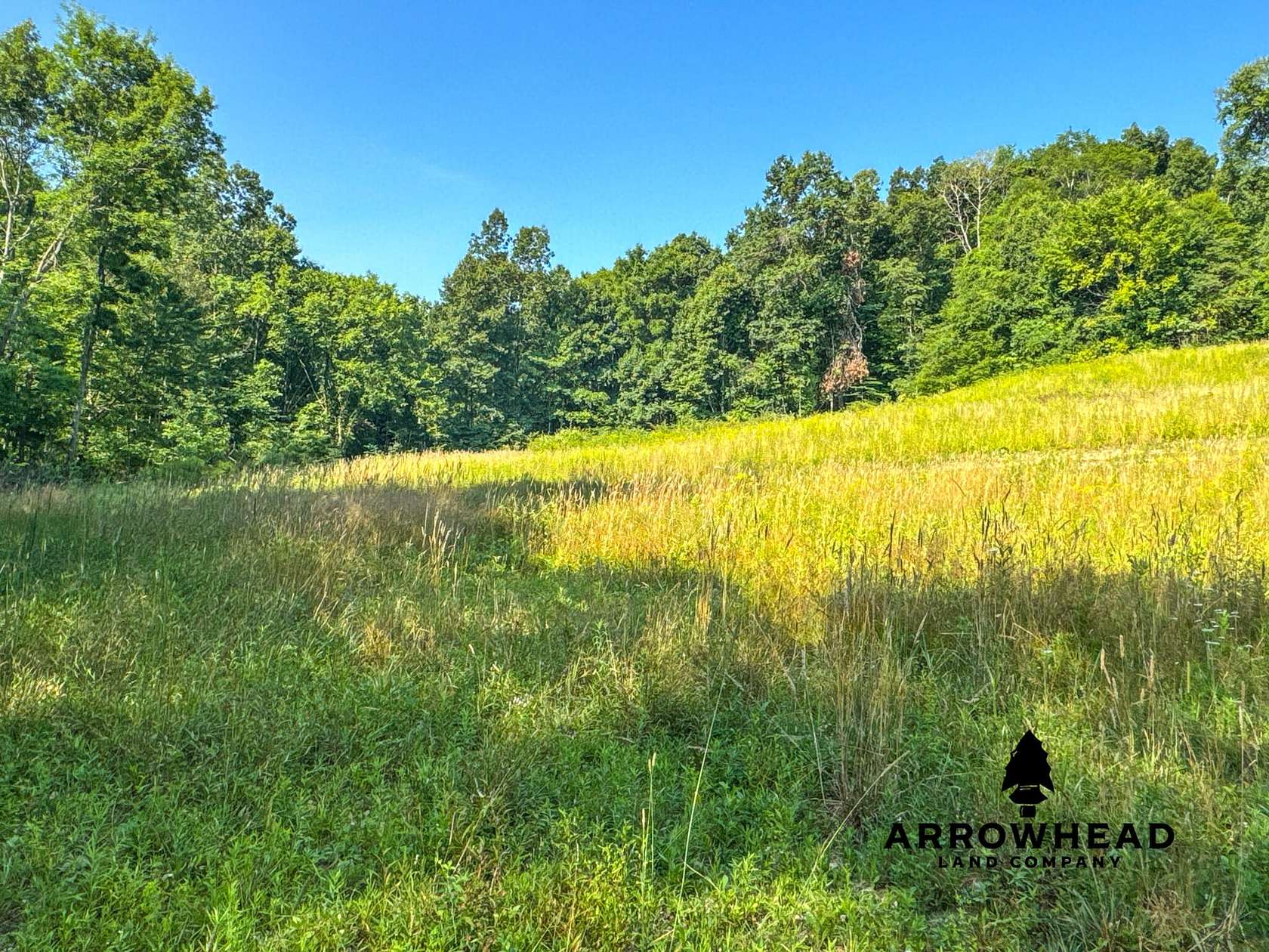 40 Acres of Recreational Land for Sale in Tippecanoe, Ohio