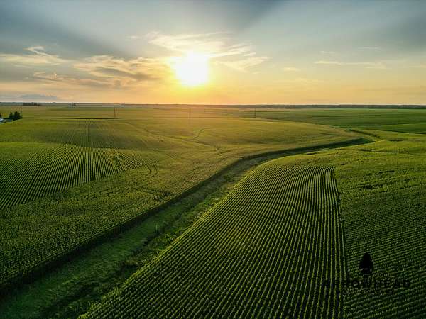 83.5 Acres of Recreational Land & Farm for Sale in Colusa, Illinois
