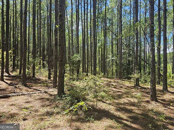 6.35 Acres of Land for Sale in Keysville, Georgia