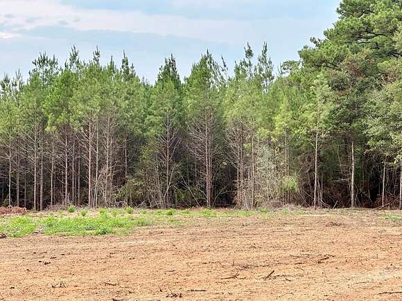 8 Acres of Residential Land for Sale in Purvis, Mississippi