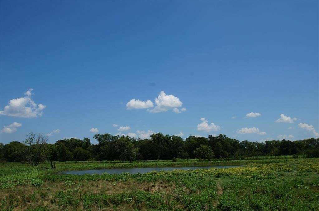 317 Acres of Recreational Land for Sale in Crandall, Texas