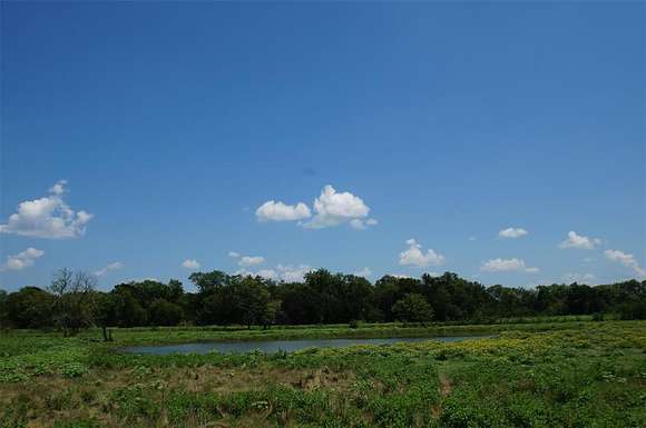 317 Acres of Recreational Land for Sale in Crandall, Texas