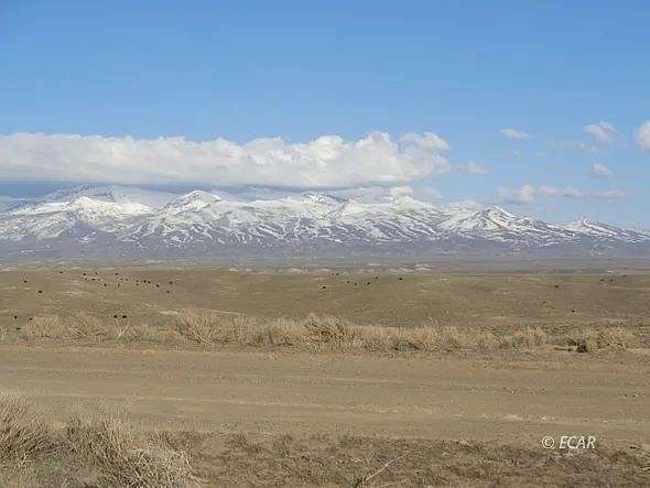 20 Acres of Land for Sale in Deeth, Nevada