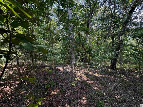 1.33 Acres of Residential Land for Sale in Murray, Kentucky