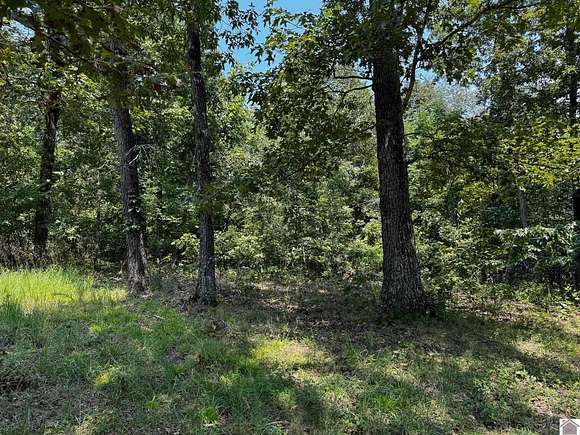 2.64 Acres of Residential Land for Sale in Murray, Kentucky