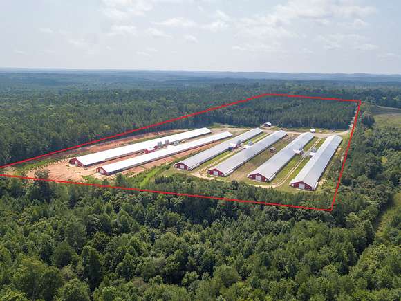 33.2 Acres of Land for Sale in Mount Gilead, North Carolina