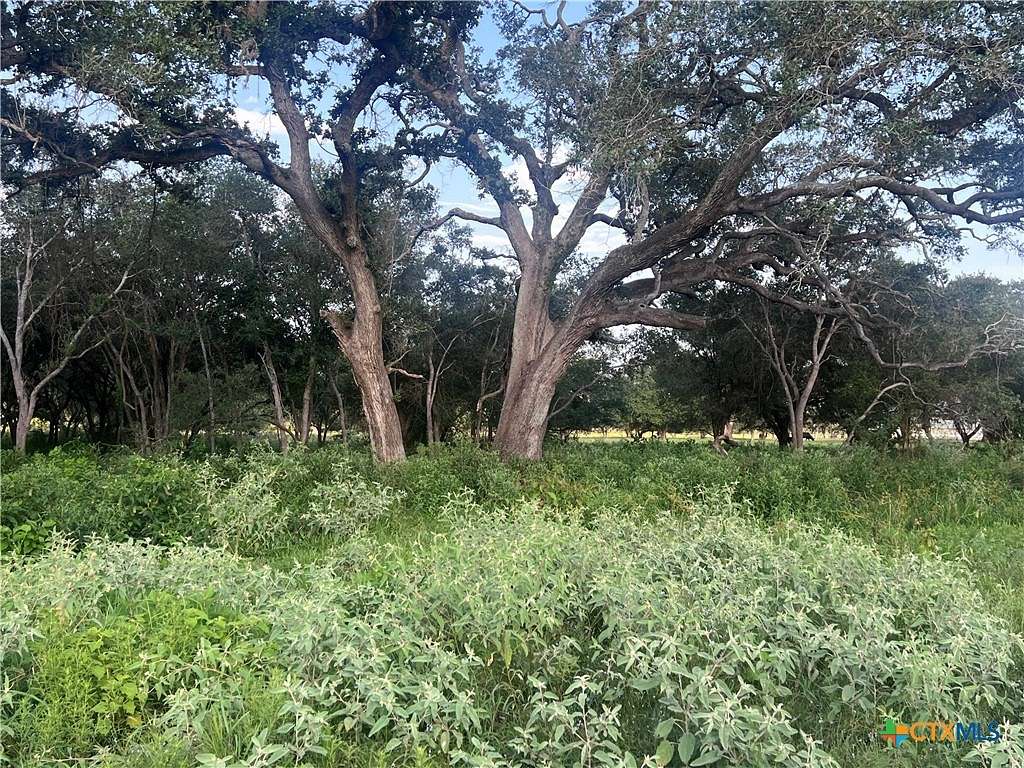 5.2 Acres of Residential Land for Sale in Inez, Texas