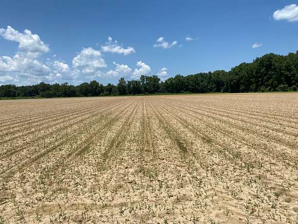 42.17 Acres of Recreational Land & Farm for Sale in Marvell, Arkansas