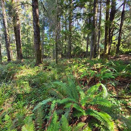 5 Acres of Recreational Land for Sale in Naselle, Washington