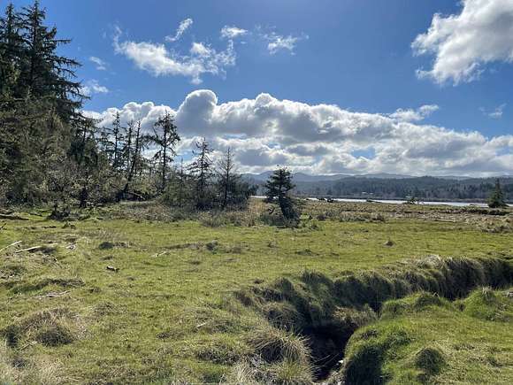 25.07 Acres of Land for Sale in Naselle, Washington