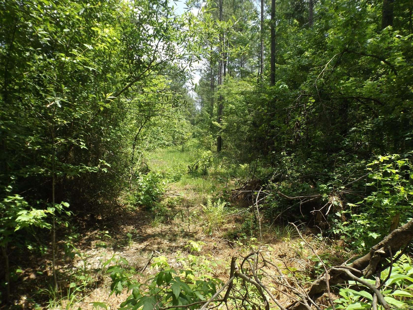 286 Acres of Recreational Land for Sale in White Hall, Arkansas