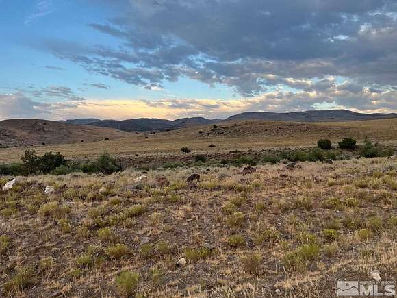 57.57 Acres of Land for Sale in Reno, Nevada