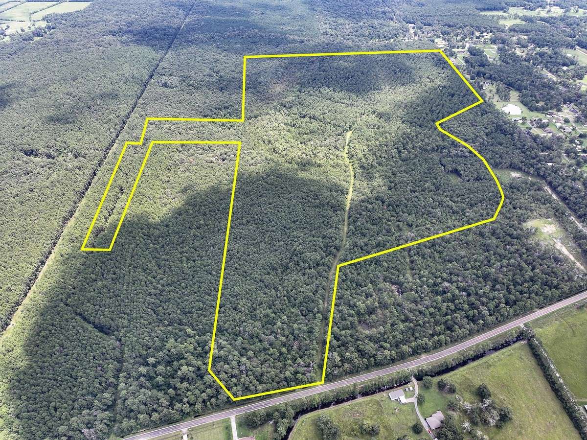 545 Acres of Recreational Land for Sale in Orange, Texas