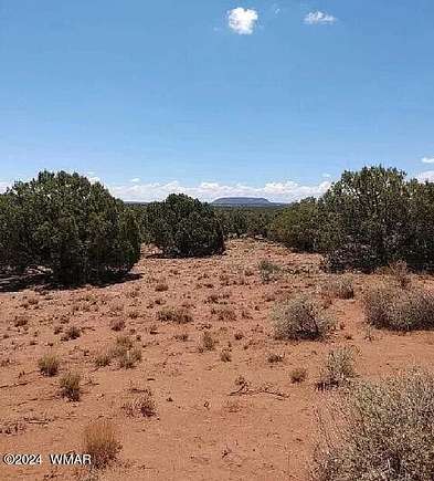 2.36 Acres of Residential Land for Sale in Snowflake, Arizona