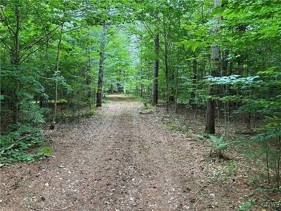 3.5 Acres of Residential Land with Home for Sale in Ohio, New York