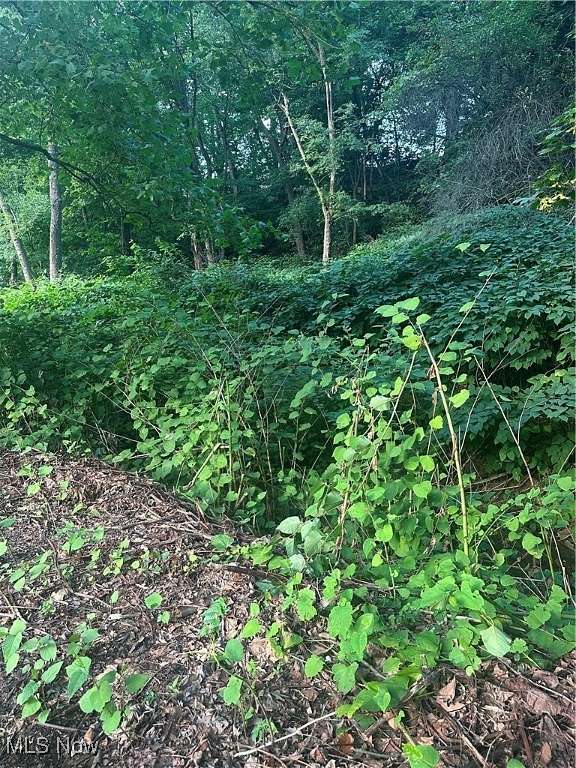 0.38 Acres of Residential Land for Sale in Chester, West Virginia