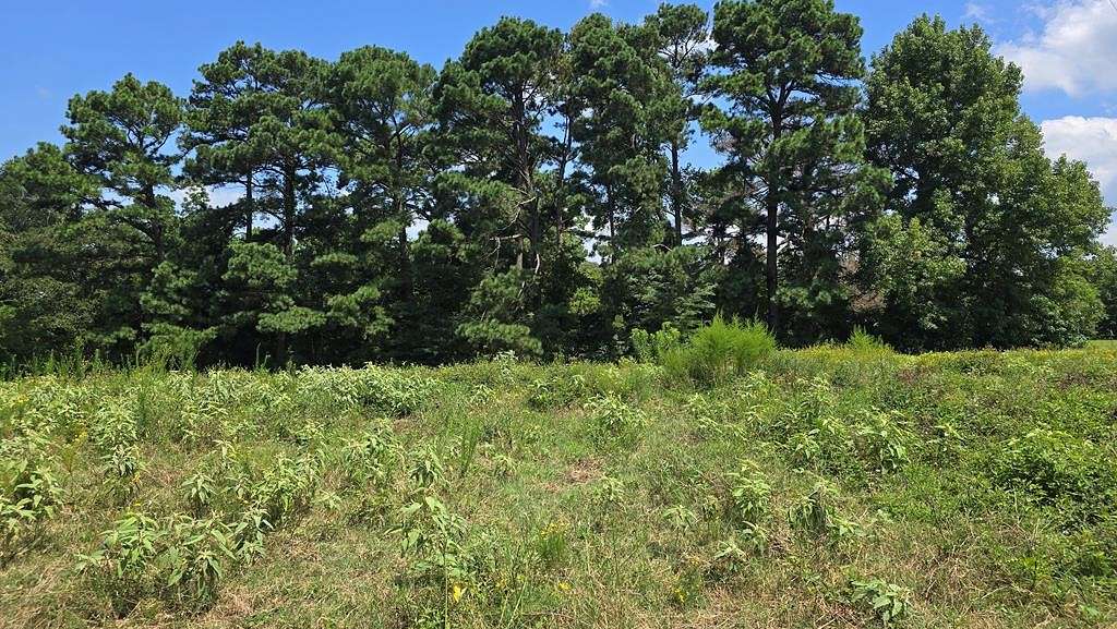 1 Acre of Residential Land for Sale in Mount Enterprise, Texas