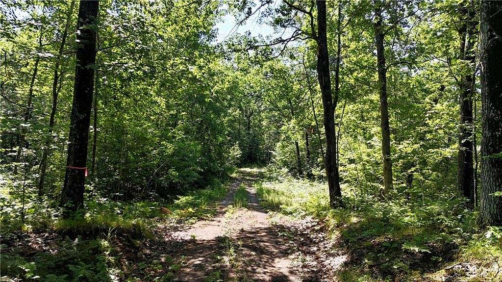 133.4 Acres of Recreational Land for Sale in Trego, Wisconsin