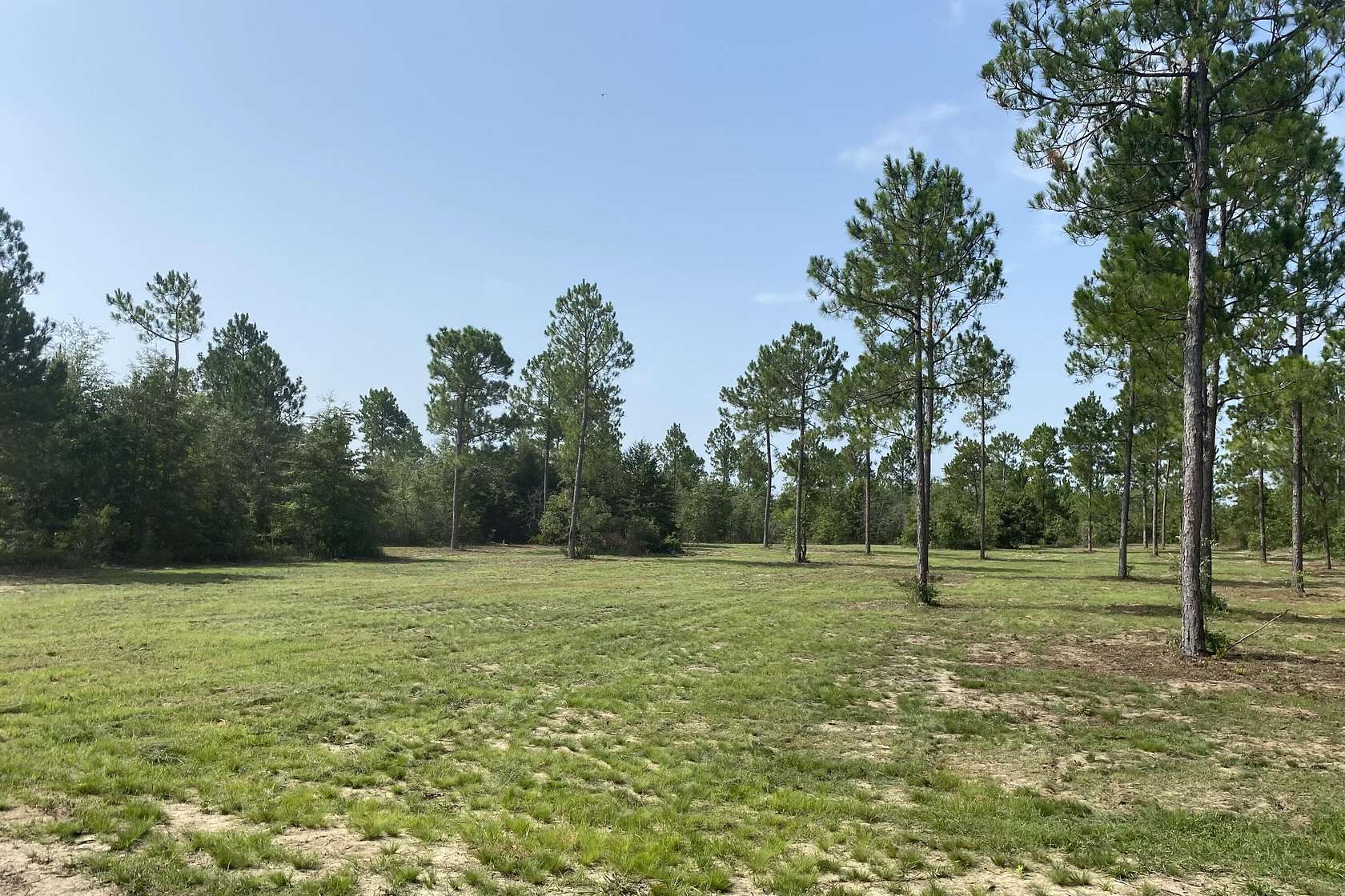 14 Acres of Land for Sale in Windsor, South Carolina