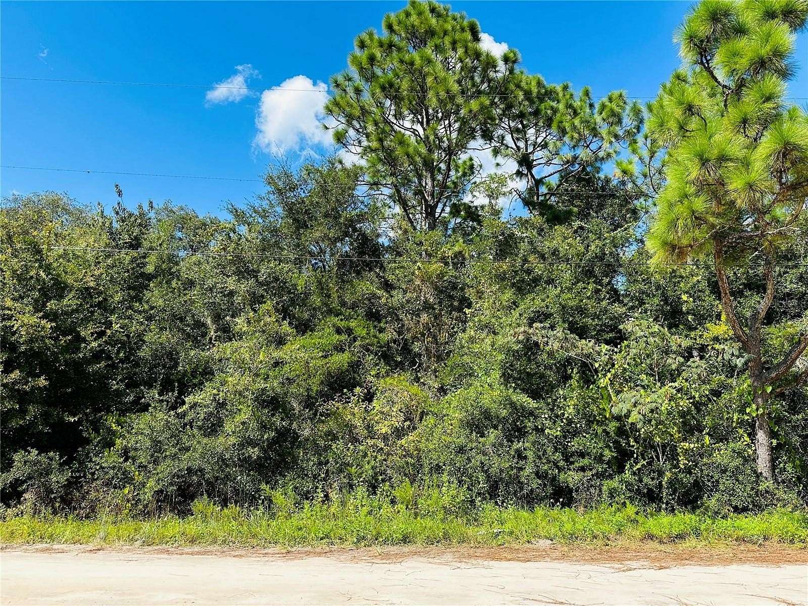 1.14 Acres of Residential Land for Sale in Hastings, Florida