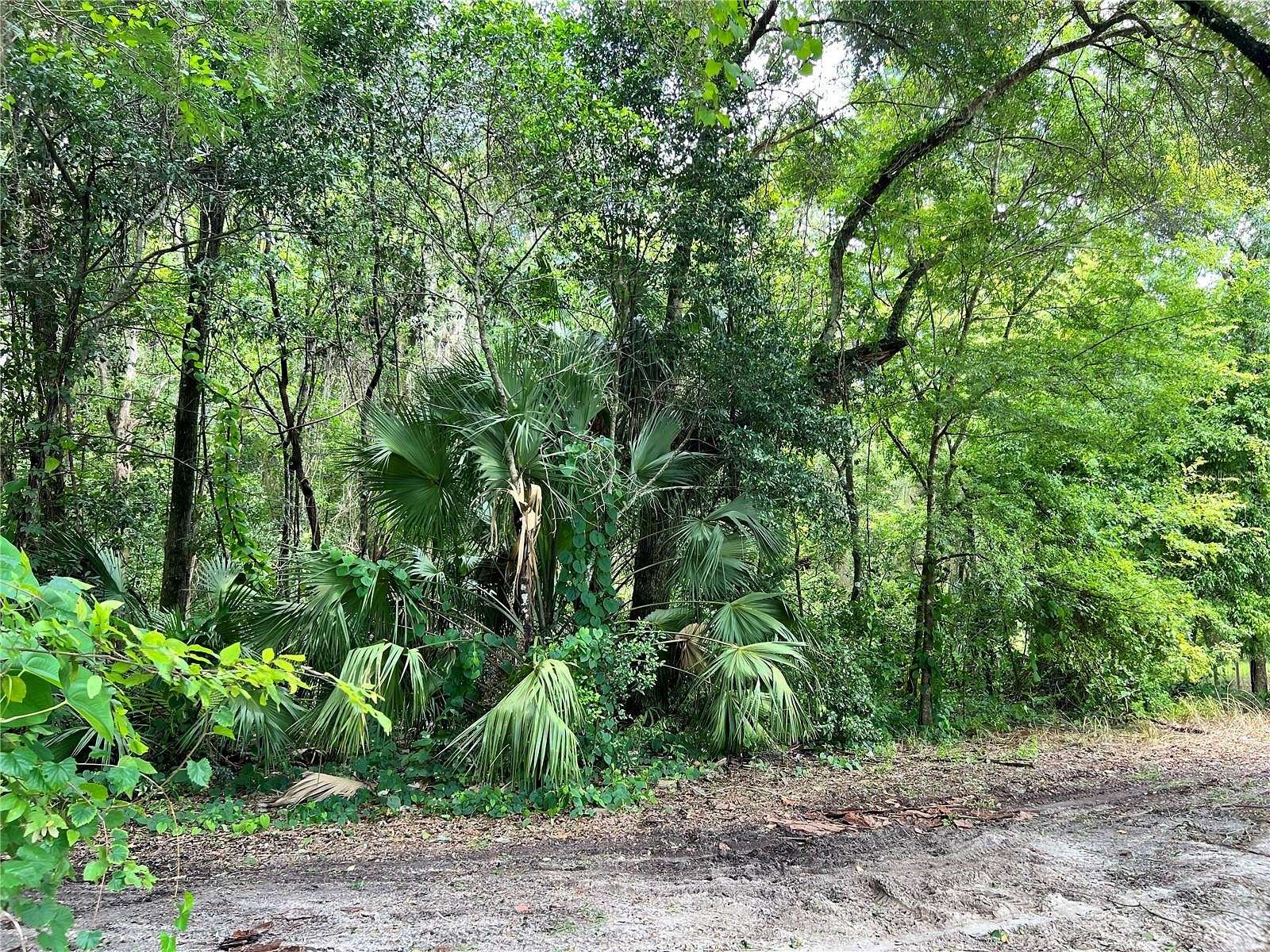 0.5 Acres of Residential Land for Sale in Gainesville, Florida