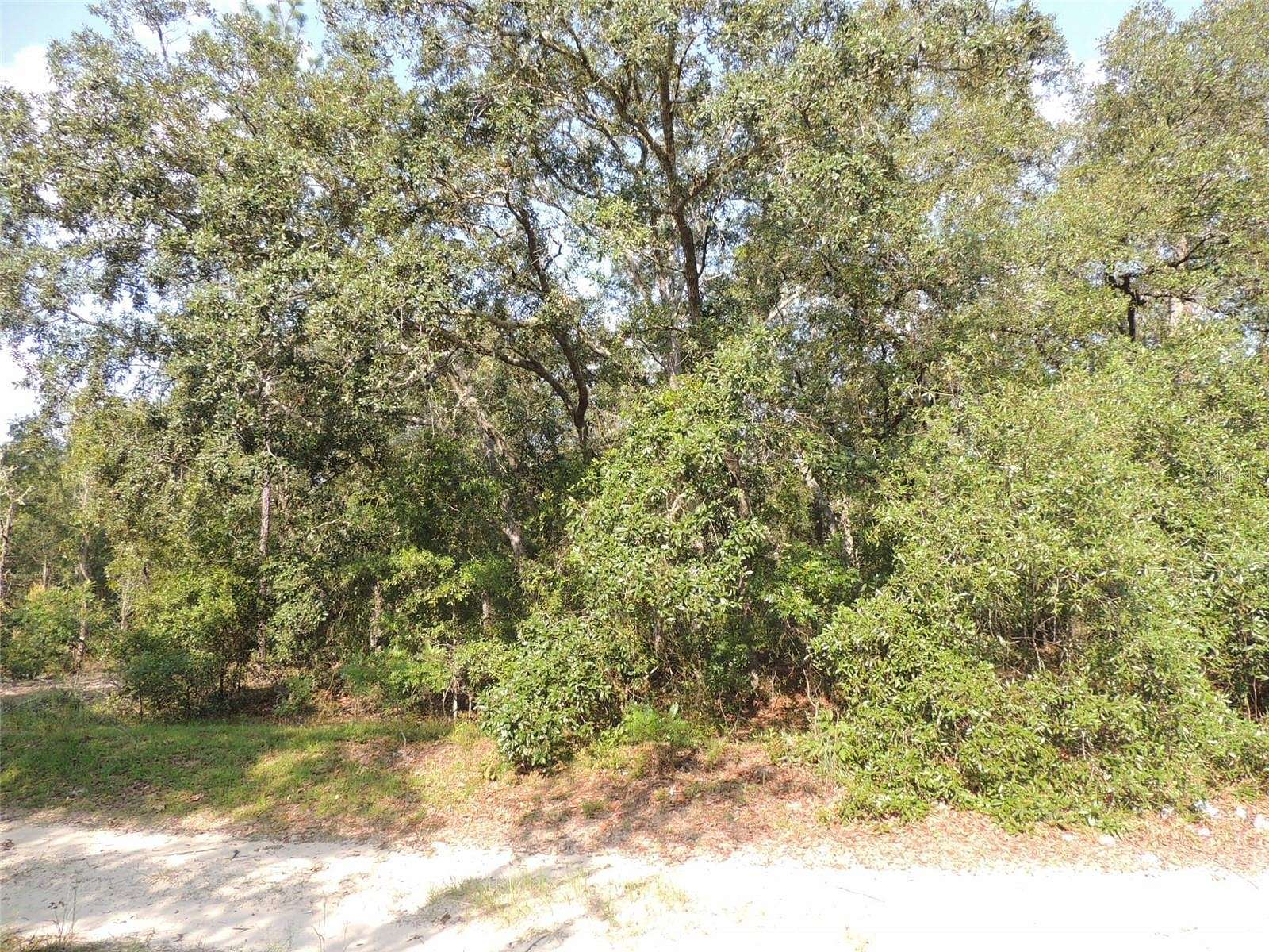 1.25 Acres of Residential Land for Sale in Bronson, Florida