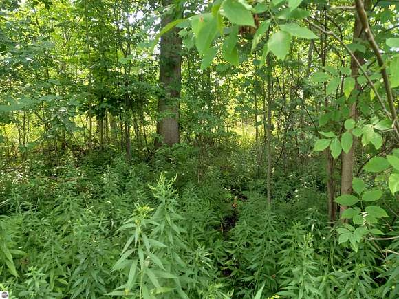 9.2 Acres of Residential Land for Sale in Au Gres, Michigan