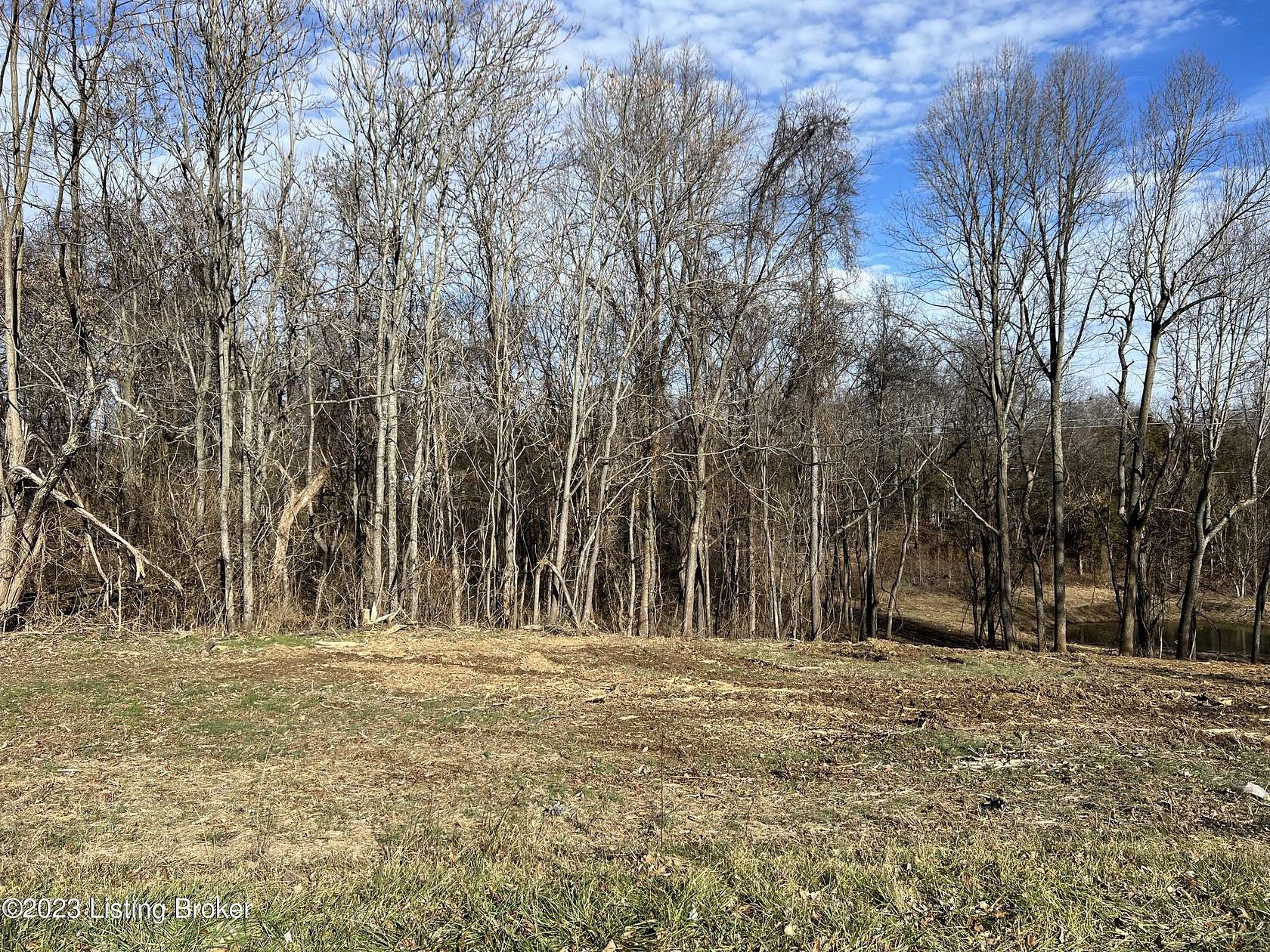 6.06 Acres of Residential Land for Sale in Bedford, Kentucky