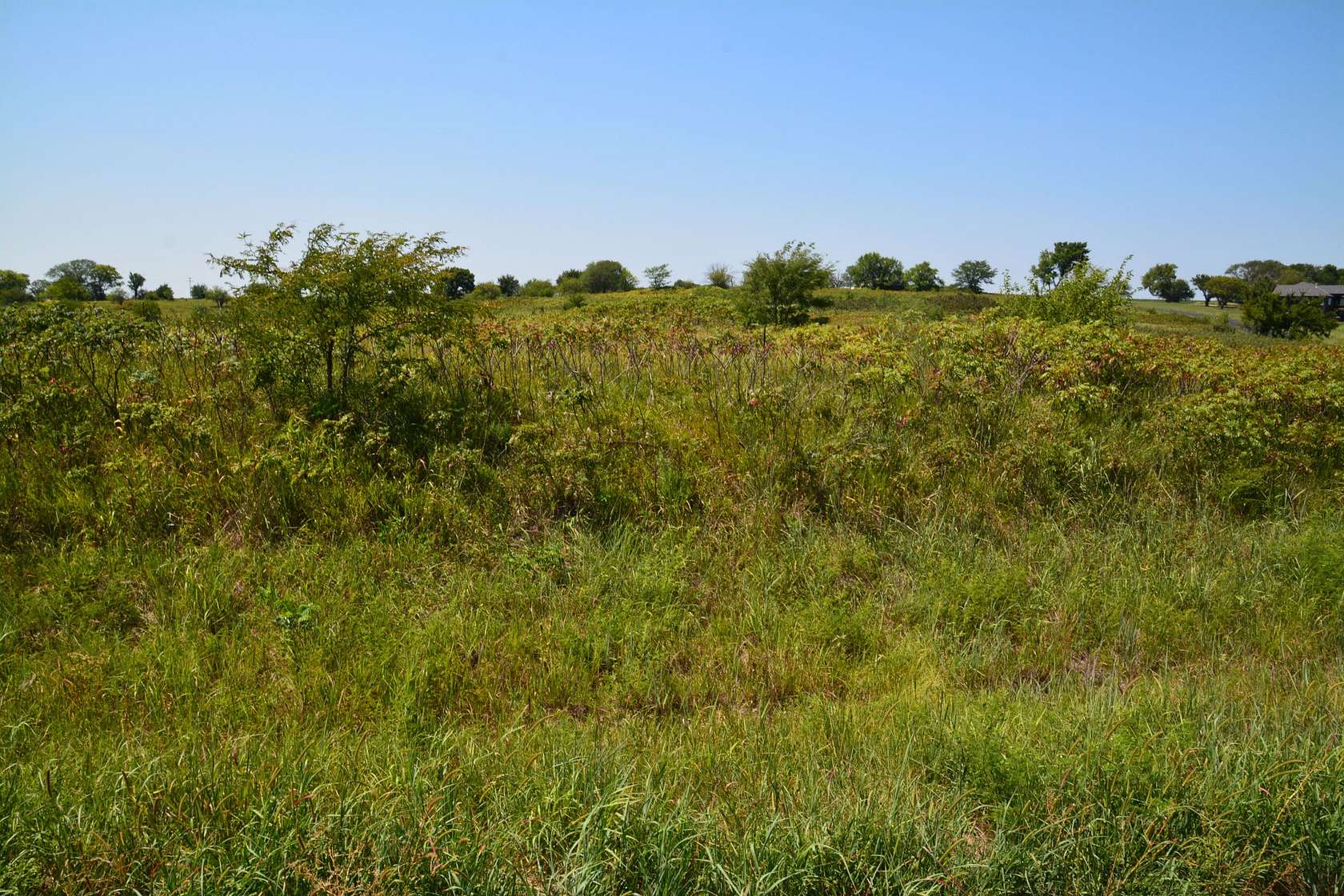 5.18 Acres of Land for Sale in Lecompton, Kansas