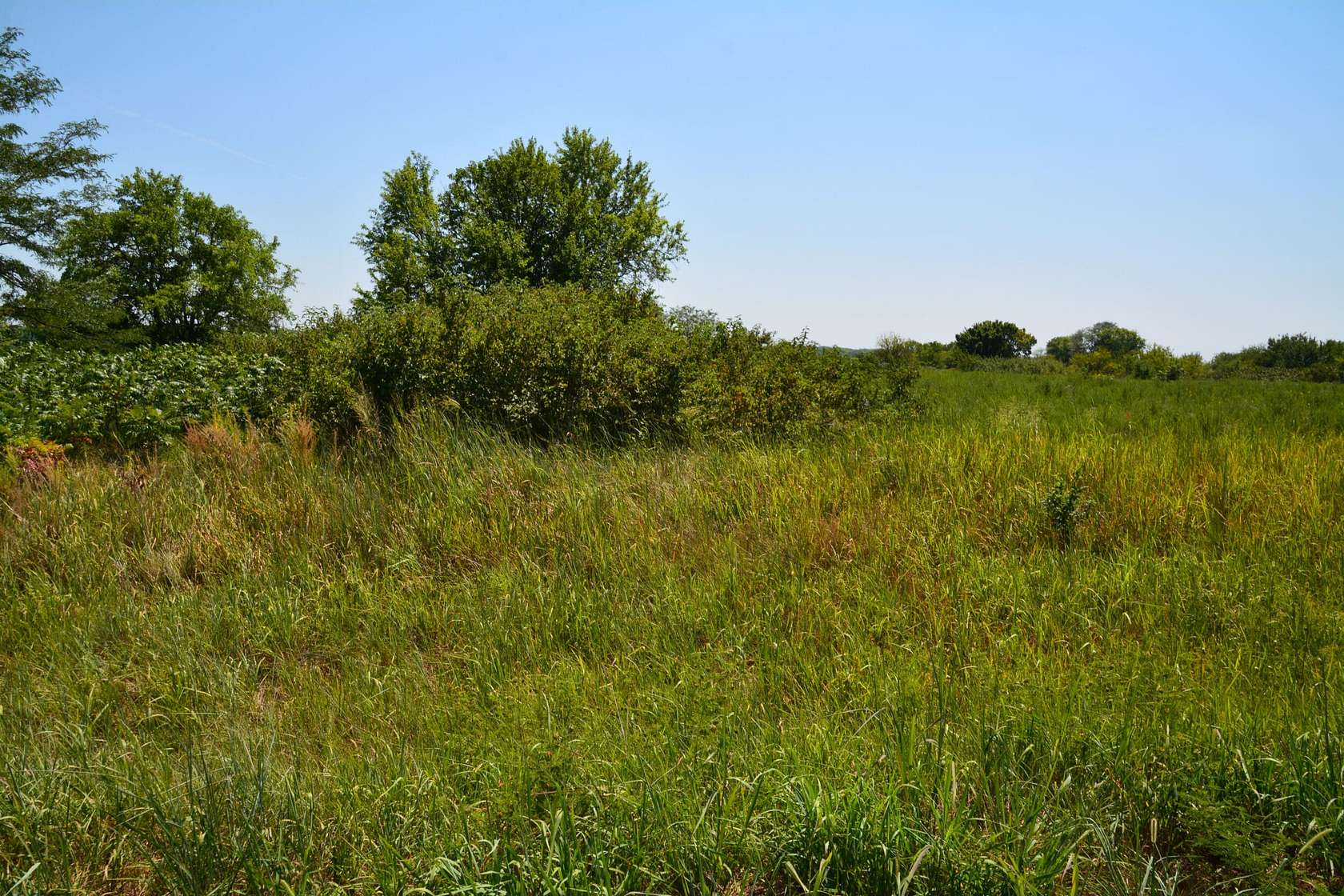 5.5 Acres of Land for Sale in Lecompton, Kansas