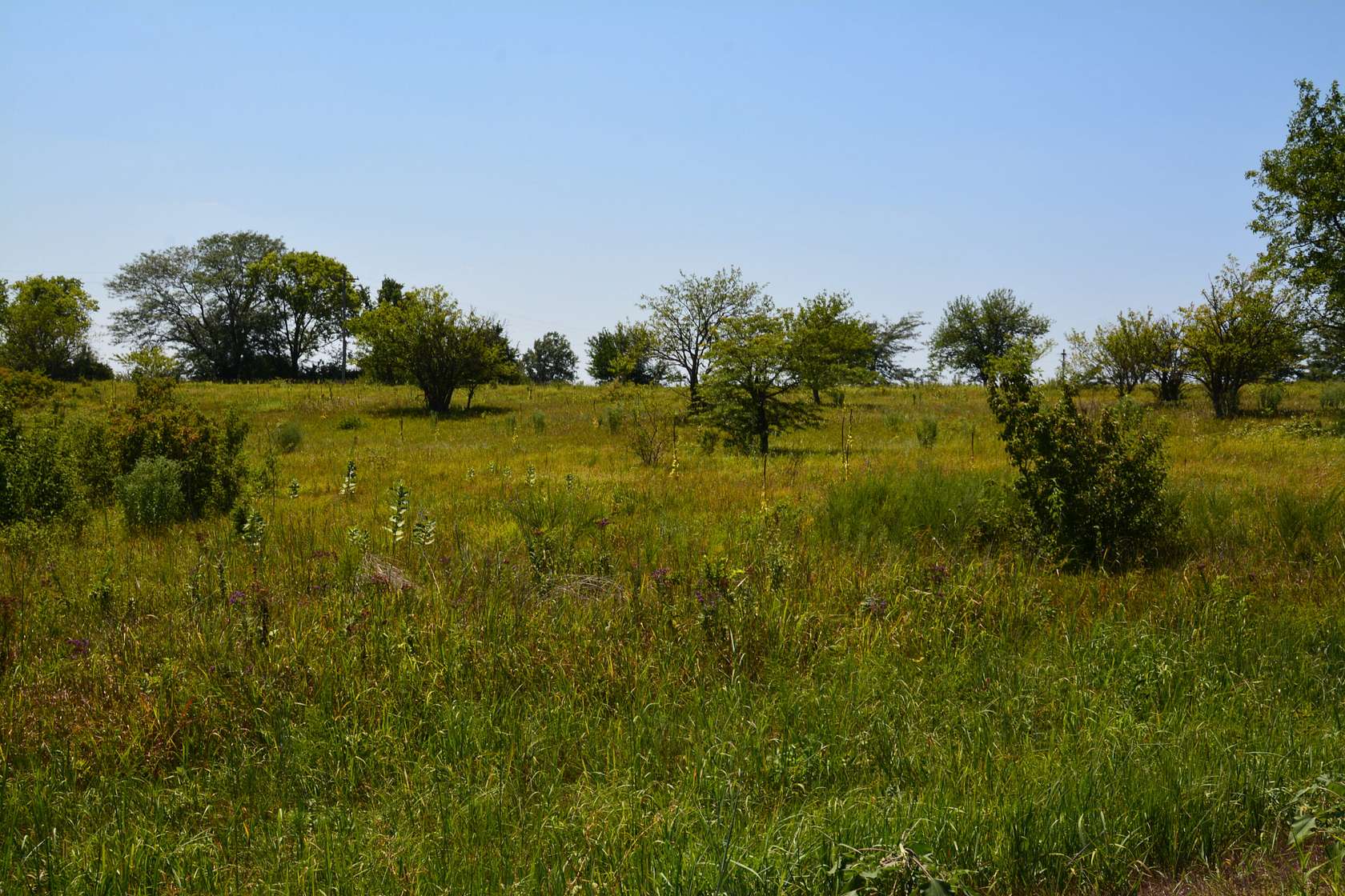 4.52 Acres of Residential Land for Sale in Lecompton, Kansas