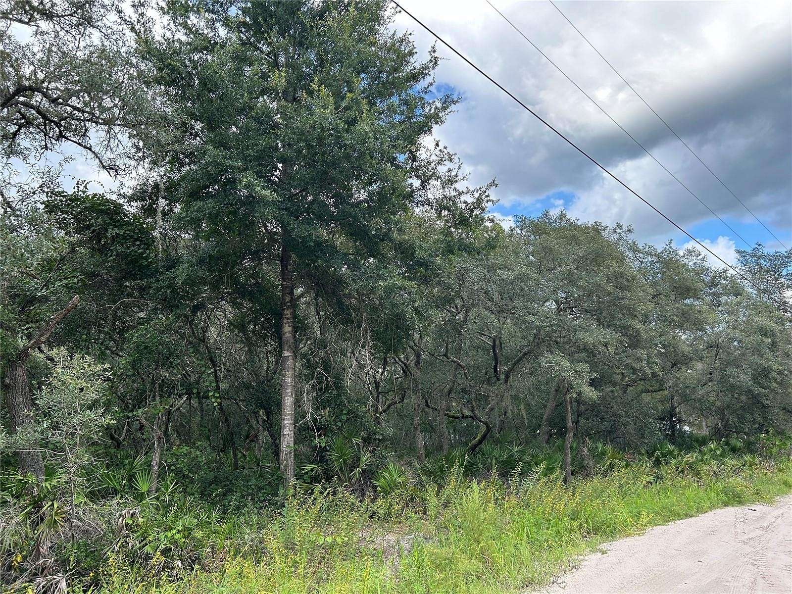 1.25 Acres of Residential Land for Sale in Dunnellon, Florida