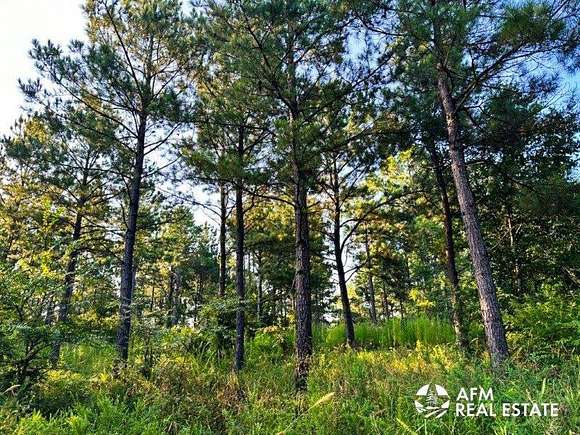 104 Acres of Recreational Land for Sale in Cloudy, Oklahoma