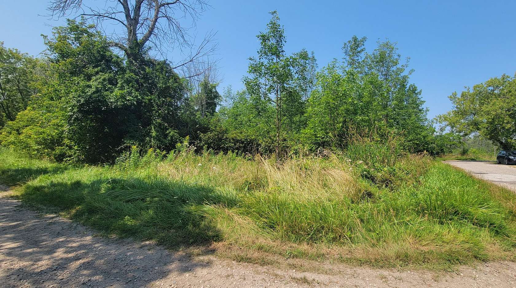 Residential Land for Sale in Cheboygan, Michigan