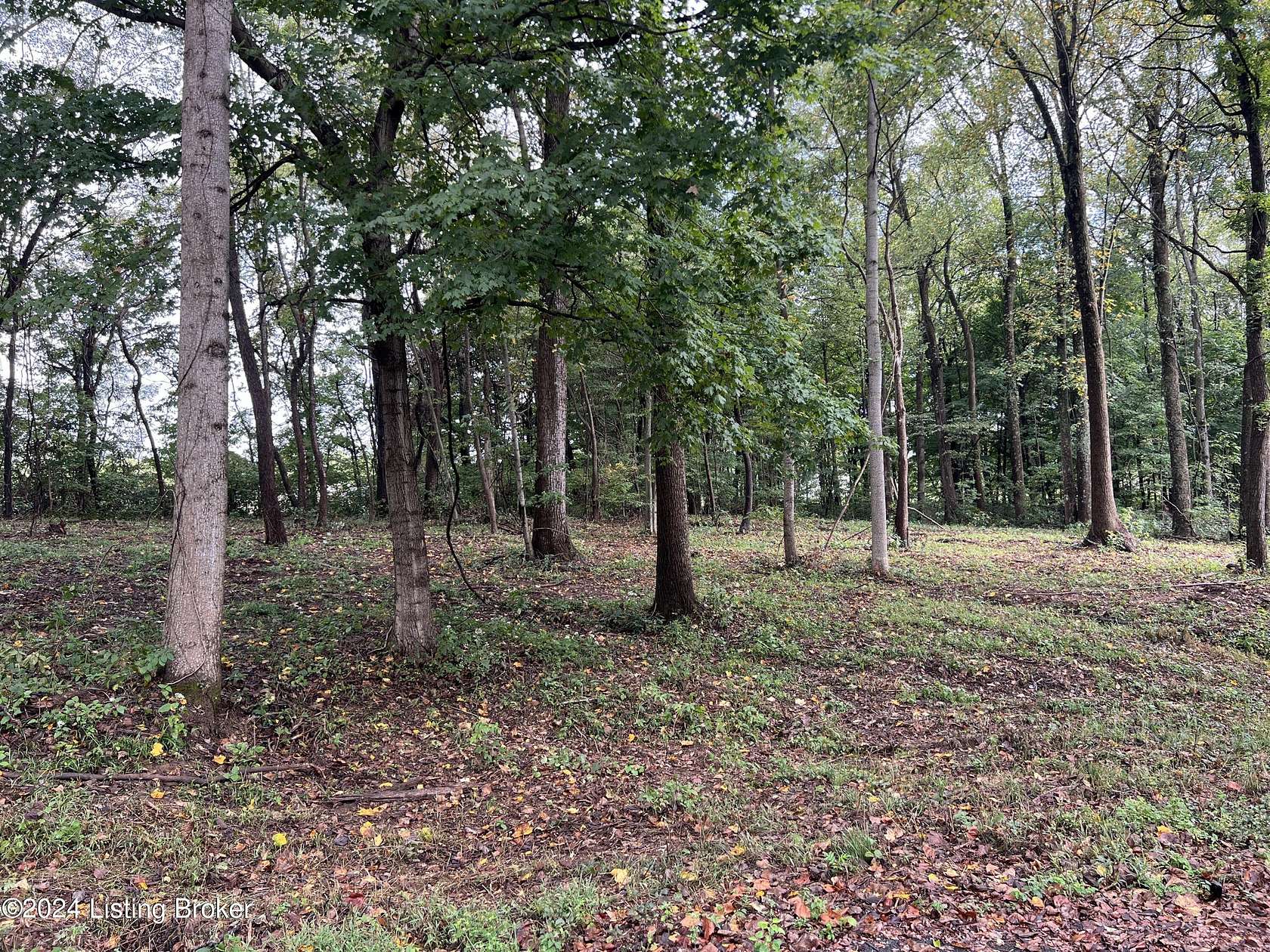 2 Acres of Land for Sale in Bedford, Kentucky