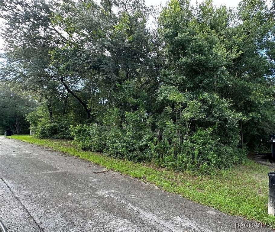 0.22 Acres of Residential Land for Sale in Inverness, Florida