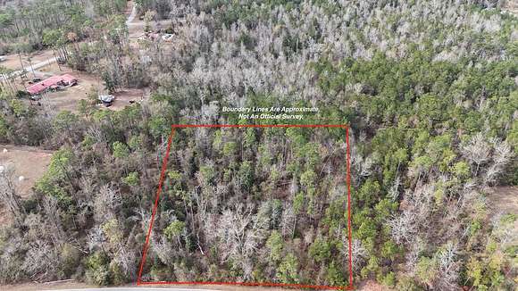 1.7 Acres of Residential Land for Sale in Bainbridge, Georgia