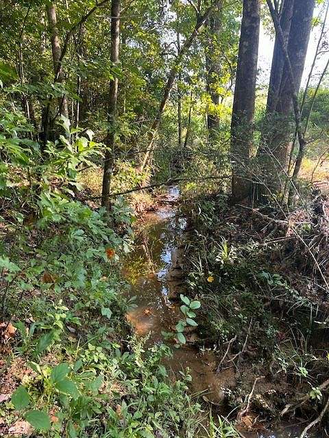 24 Acres of Recreational Land for Sale in Elba, Alabama