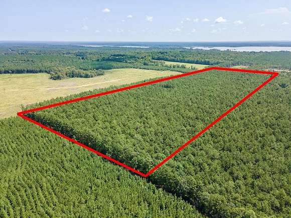 38 Acres of Recreational Land for Sale in Broaddus, Texas